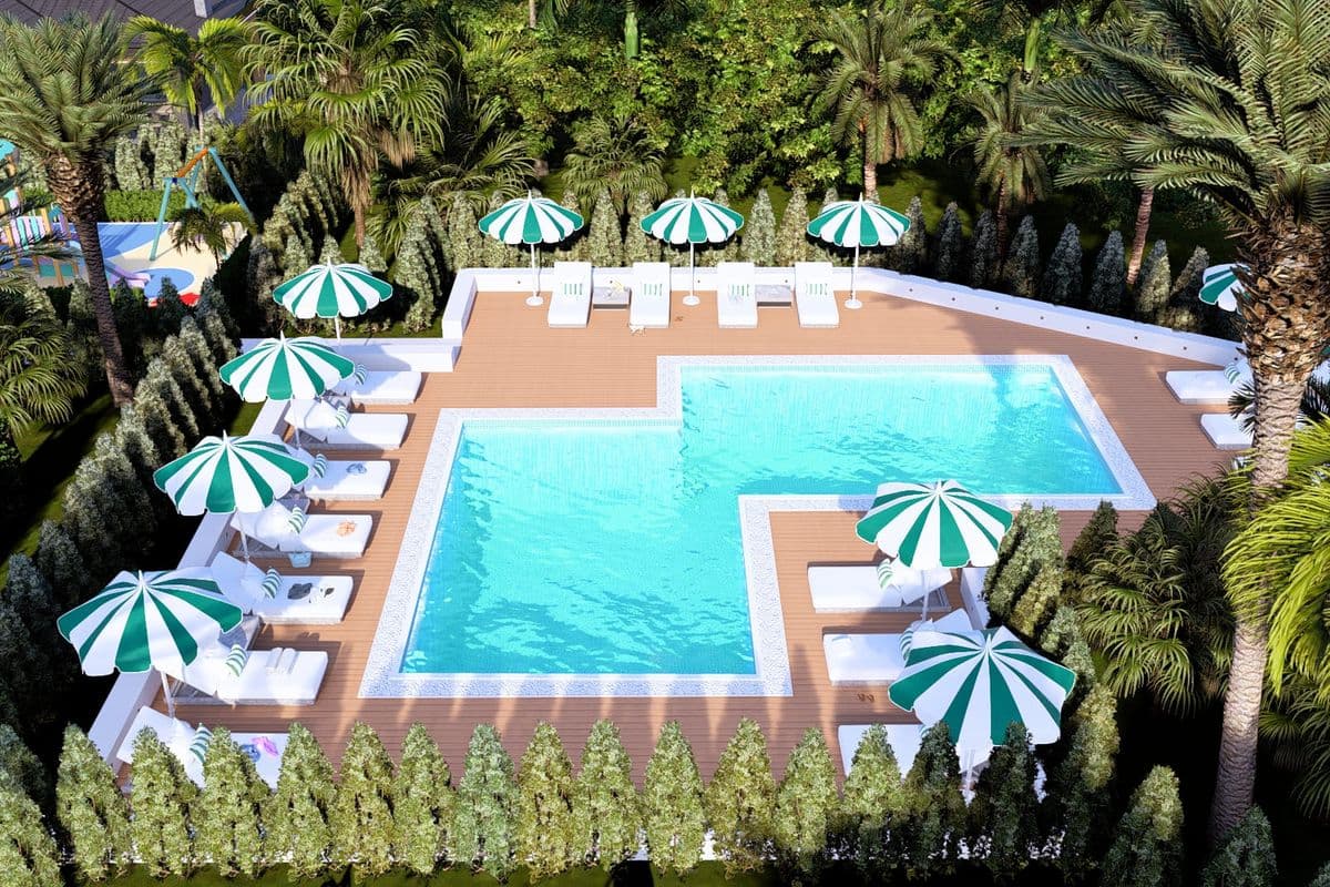 Palm paradise