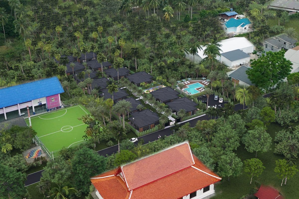 Palm paradise